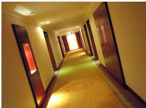 通程温泉大酒店主图