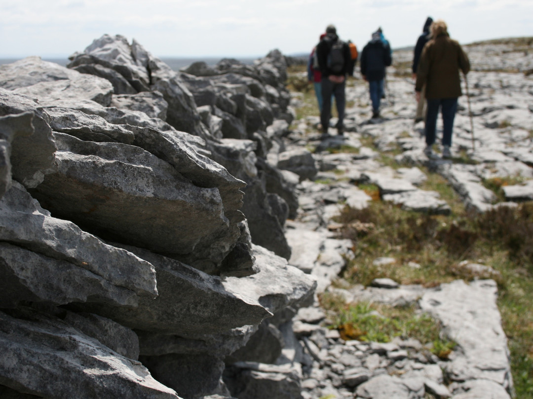 Burren Hills Walk景点图片