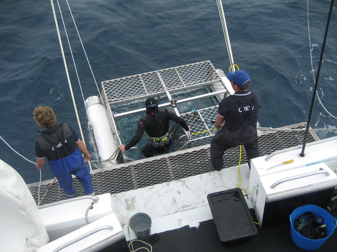Calypso Star Charters-Port Lincoln必去景点