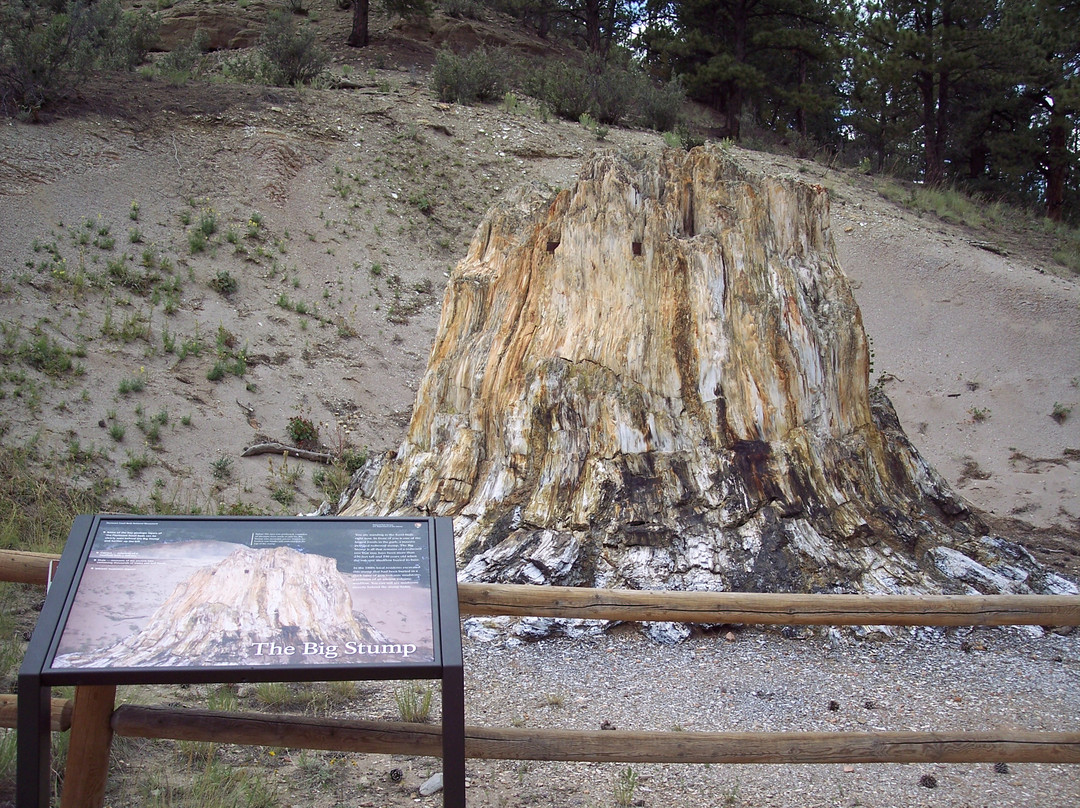 Florissant Fossil Beds National Monument景点图片