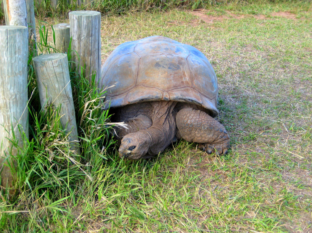 爬虫公园-拉皮德城必去景点