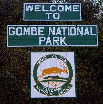 Gombe Stream National Park-Gombe National Park必去景点