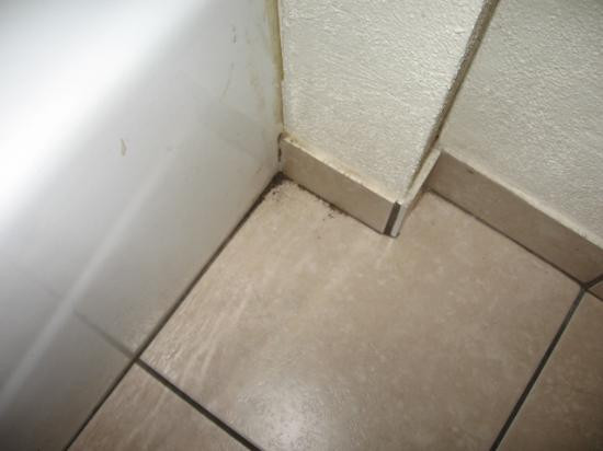 Legacy Inn and Suites