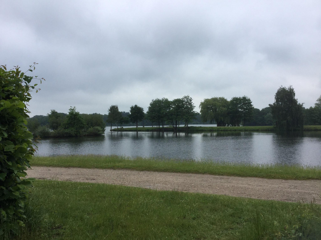 Uetze餐馆和美食-Seeblick Restaurant