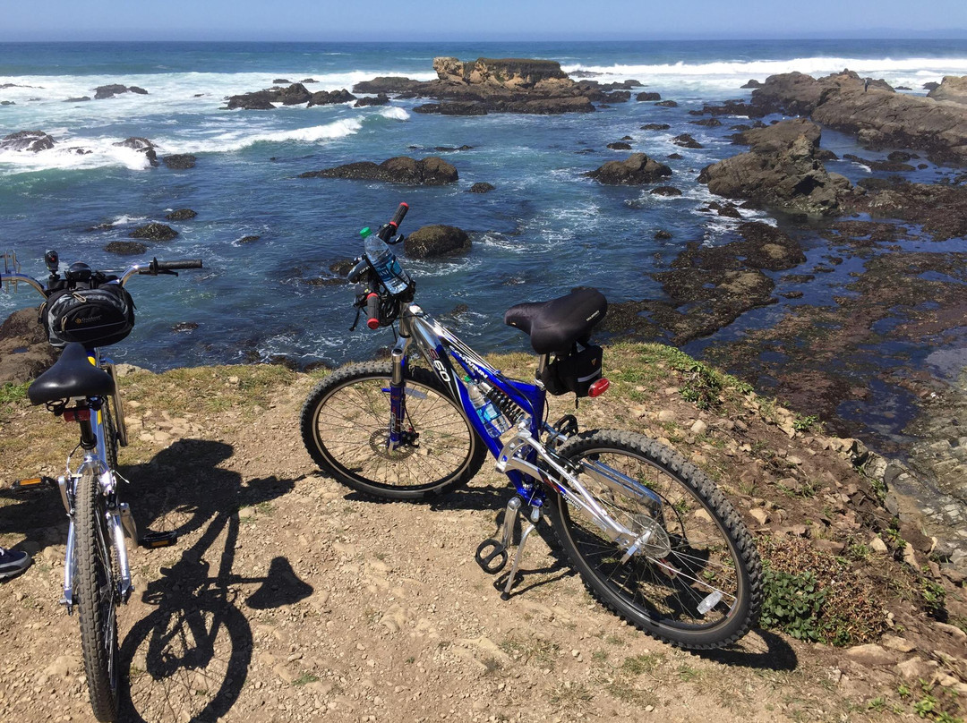 Fort Bragg Coastal Trail景点图片