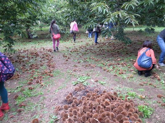 Kobayashi Farm-小布施町必去景点
