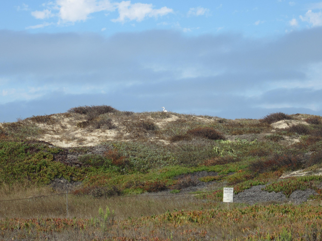 McGrath State Beach-奥克斯纳德必去景点