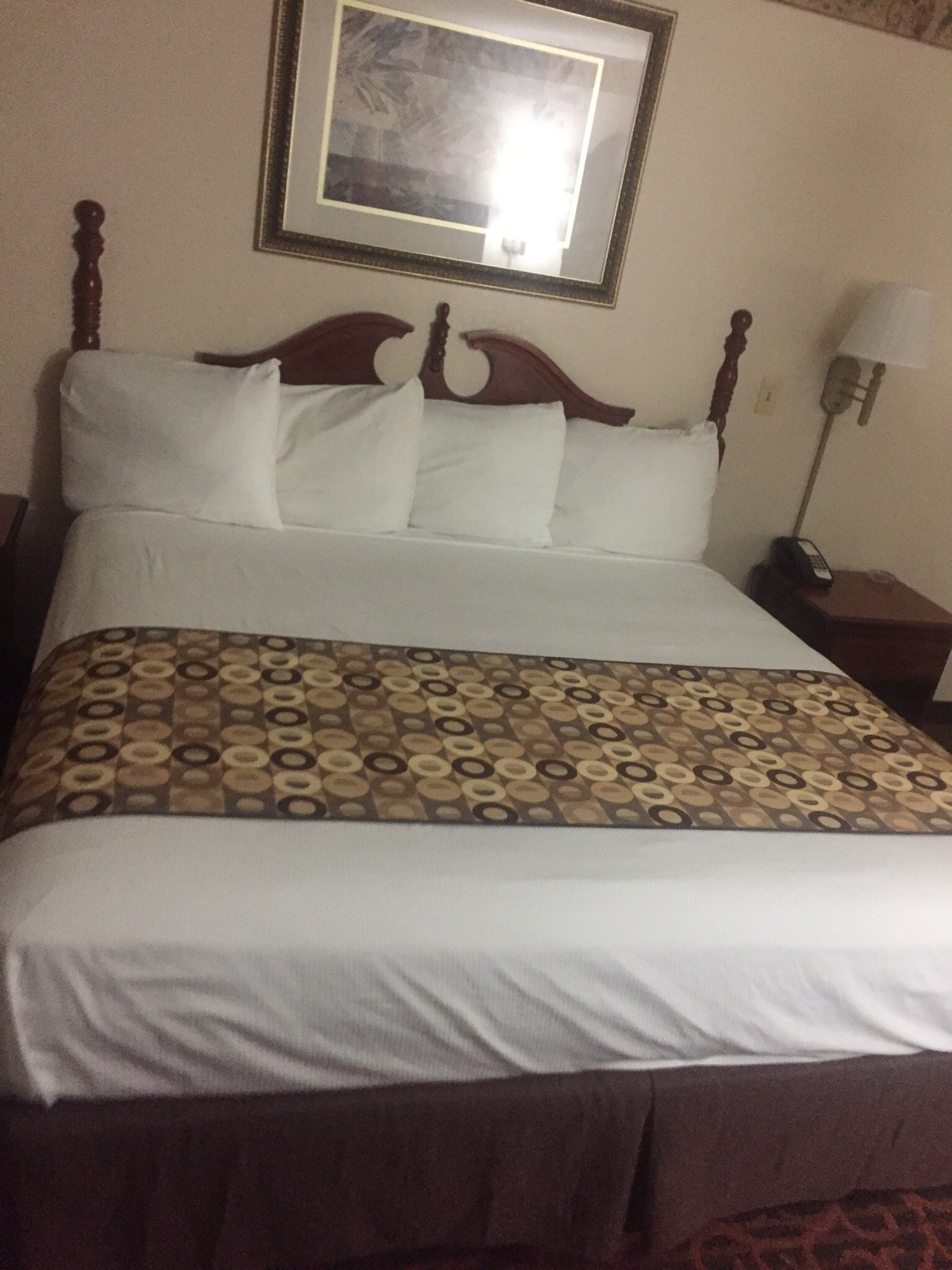 Blue Star Motel-官方