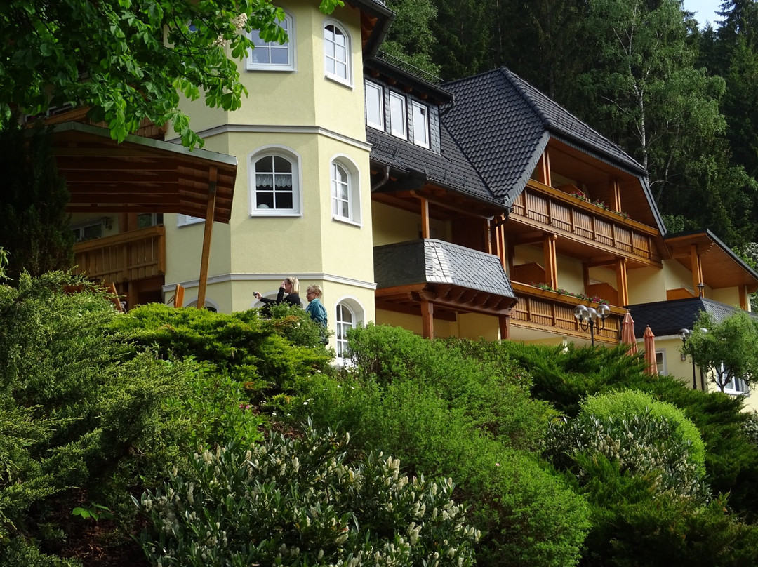Schwarzenbach am Wald旅游攻略图片