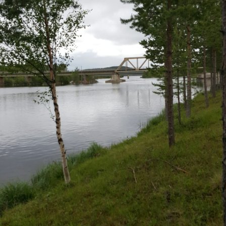 Meselefors Camping-官方