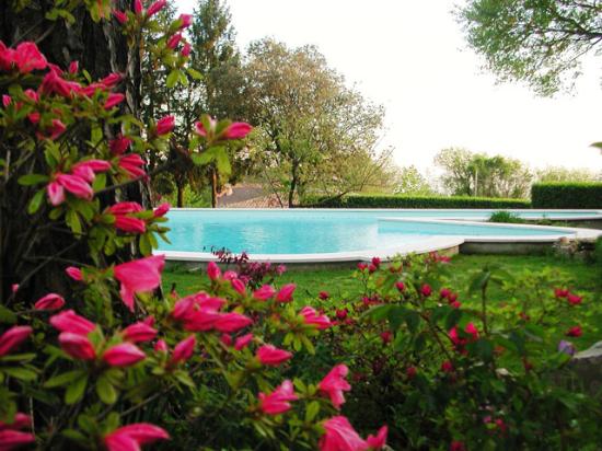 Il Giardino di Diana Bed and Breakfast-泳池