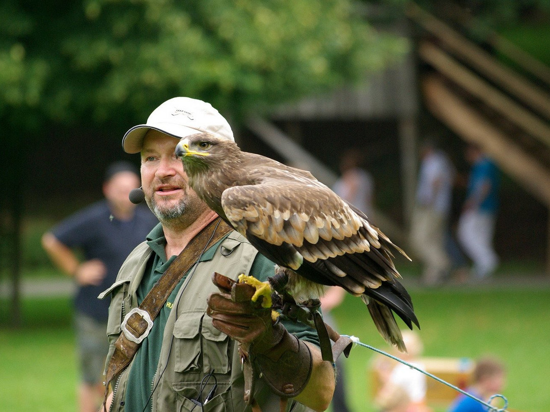 Wildfreizeitpark & Waldseilgarten Oberreith景点图片