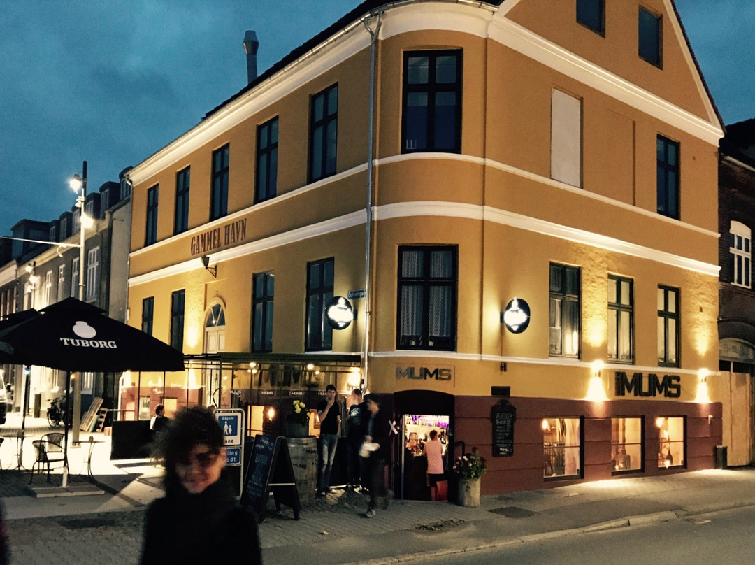 腓特烈西亚酒店住宿-Hotel Gammel Havn