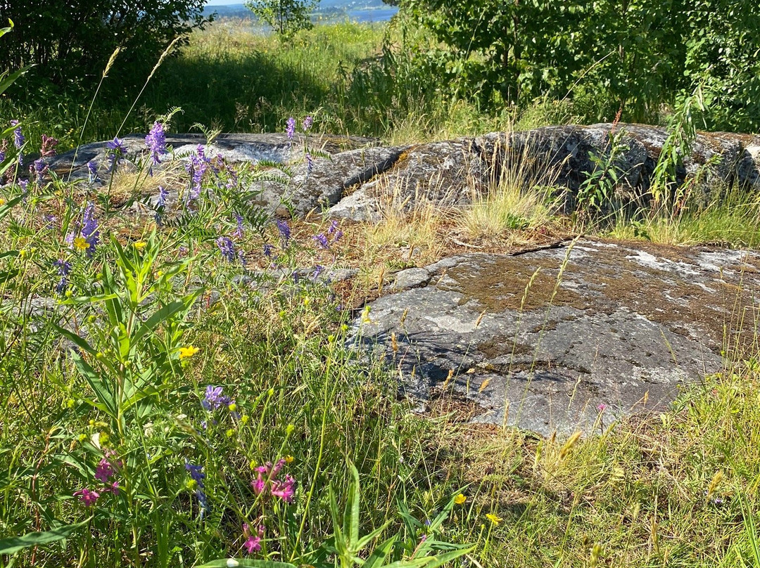 Paasonvuori Rock景点图片
