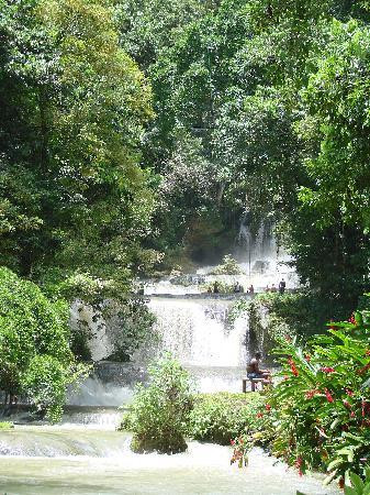 YS Falls-Saint Elizabeth Parish必去景点