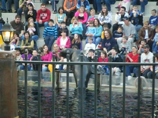 西埃德蒙顿购物中心-埃德蒙顿必去景点