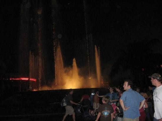 Epcot Divequest-奥兰多必去景点