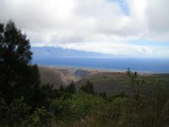 门罗小径-拉奈市必去景点