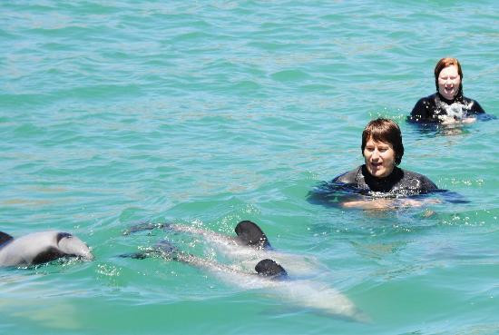 Black Cat Cruises-阿卡罗阿必去景点