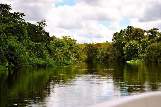 Orinoco Delta景点图片