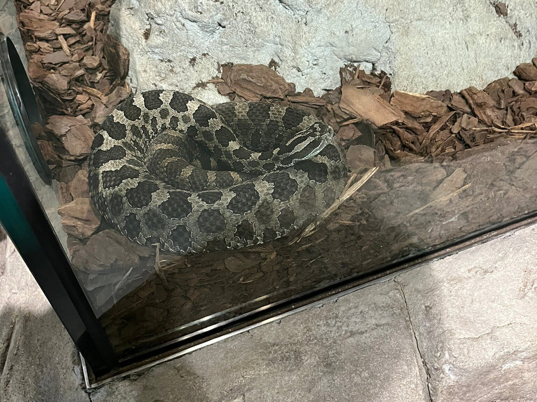 Science North-Sudbury必去景点