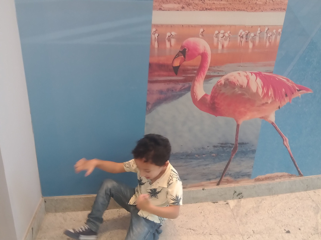 Rede Novo Tempo de Comunicação-Jacarei必去景点