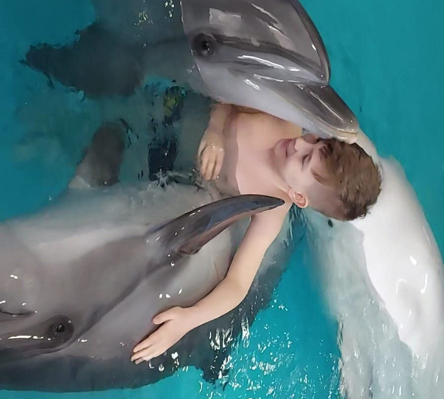 Morskaya Zvezda Dolphinarium景点图片