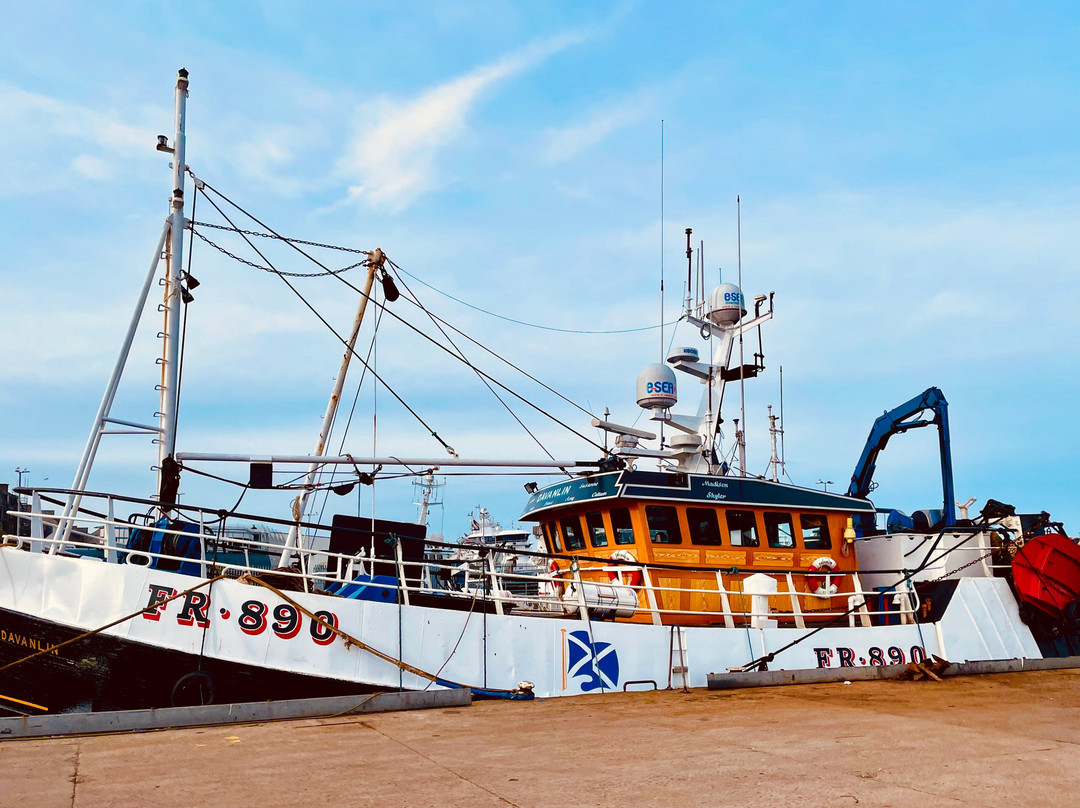 Fraserburgh Harbour-Fraserburgh必去景点