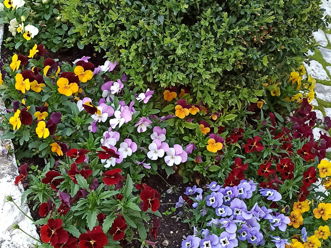 Albergo Antico Borgo la Torre主图