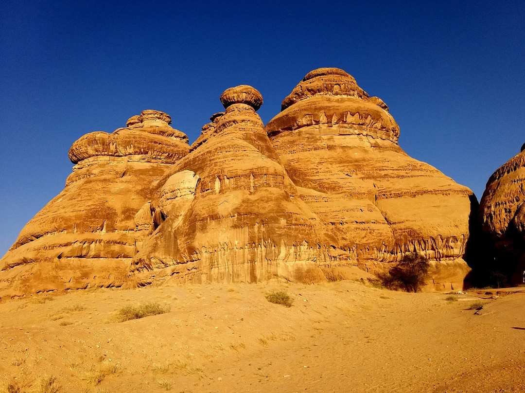 Al Diwan-AlUla必去景点