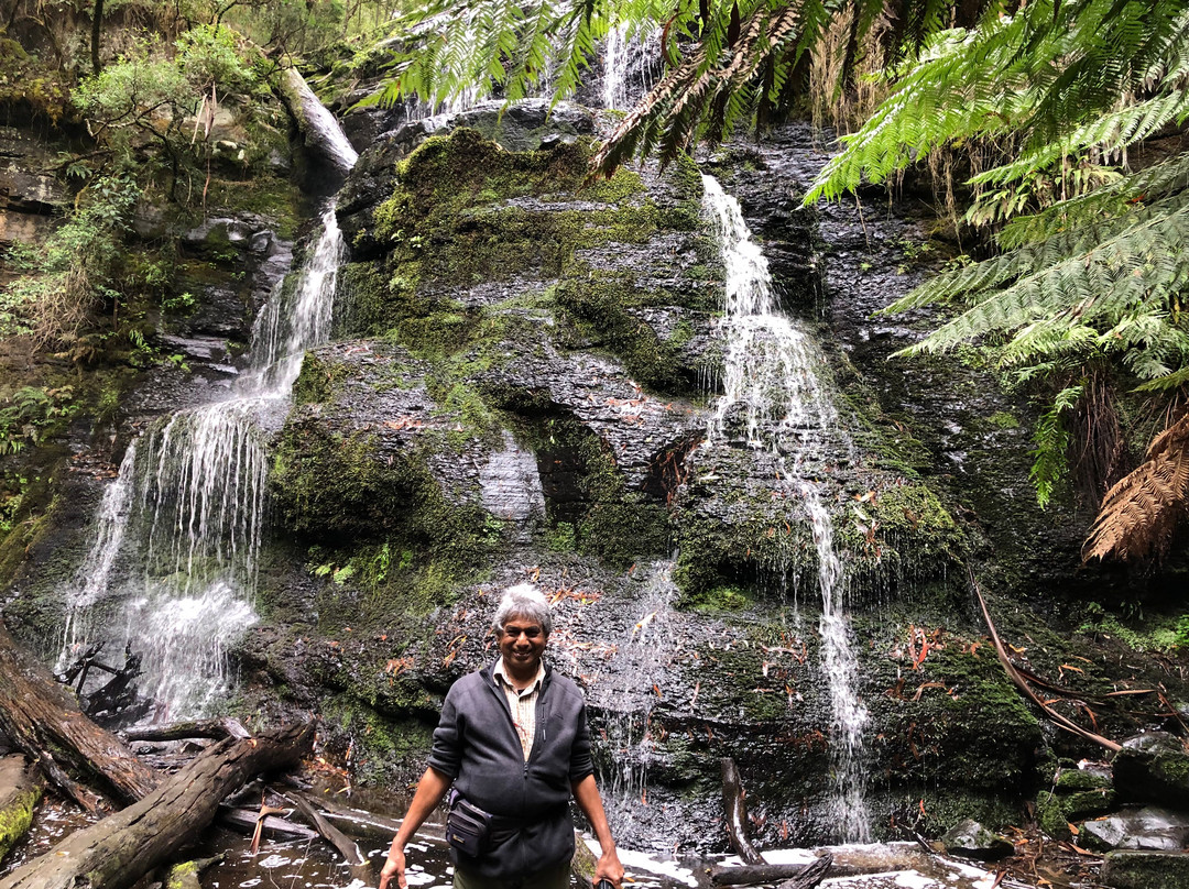 Henderson Falls-洛恩必去景点