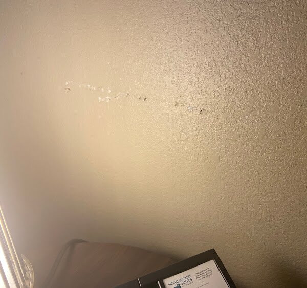 Homewood Suites by Hilton Grand Rapids主图