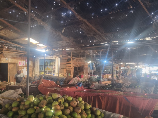 WINNERS EXPEDITIONS - TOURS AND SAFARIS Co LTD-莫西必去景点