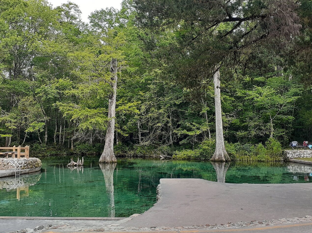 Ponce de Leon Springs State Park景点图片