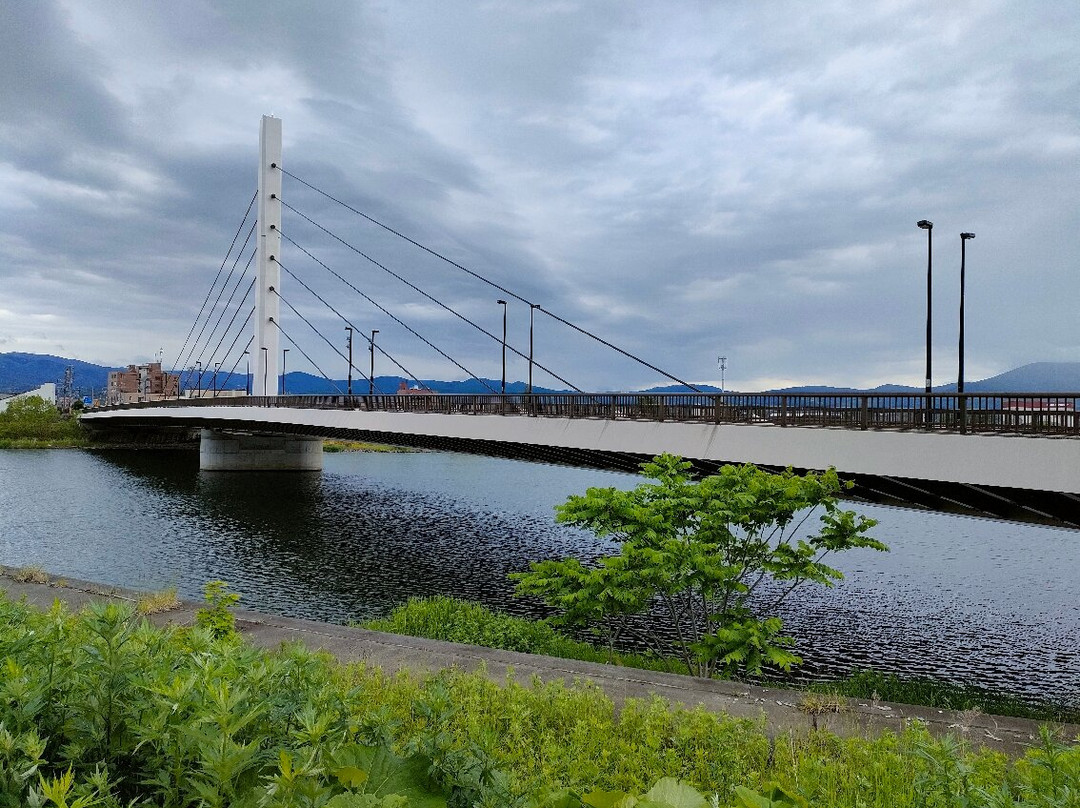 Okawa Bridge景点图片