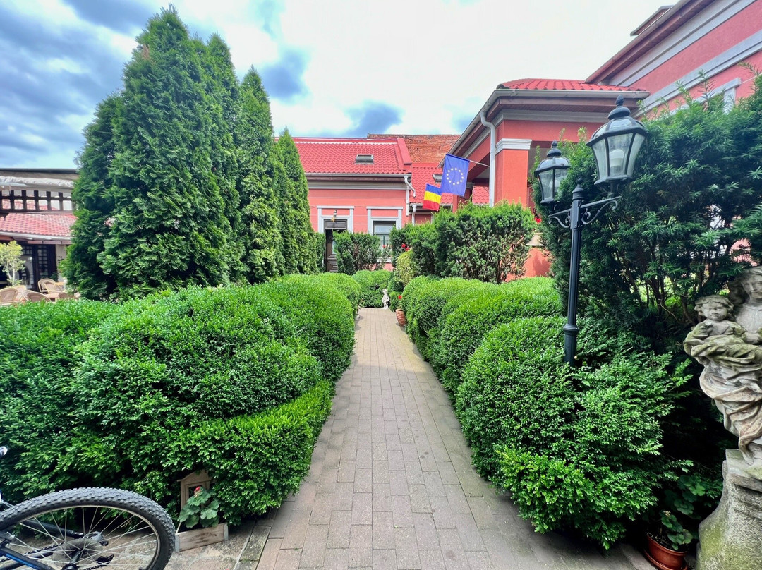 Casa Del Sole Boutique Hotel Timișoara主图