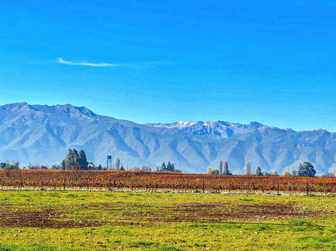 Viña Casa Silva-San Fernando必去景点