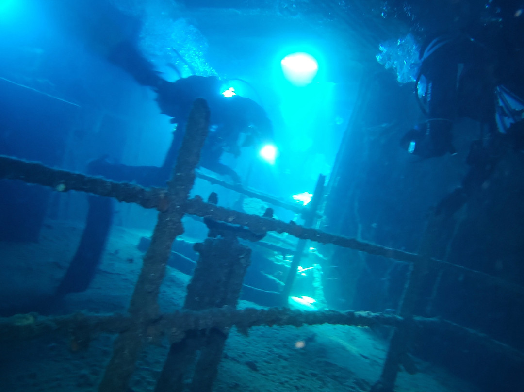 Marina di Campo Diving景点图片