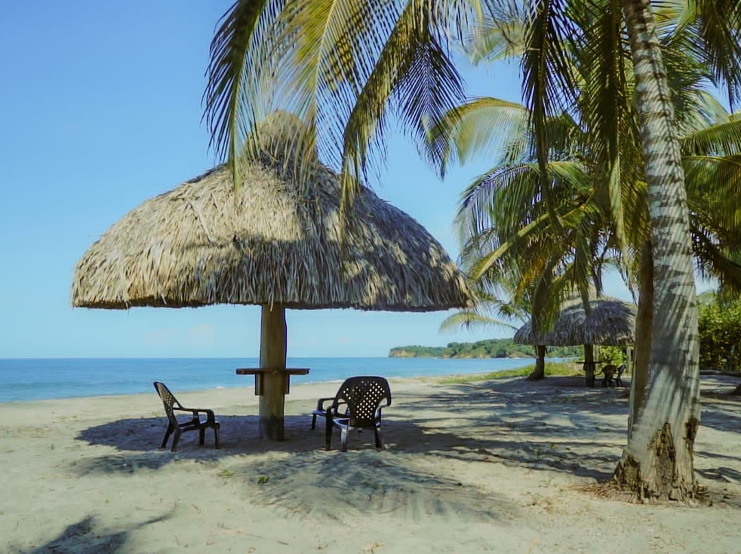 Palomino Uuttaaka Eco-hotel