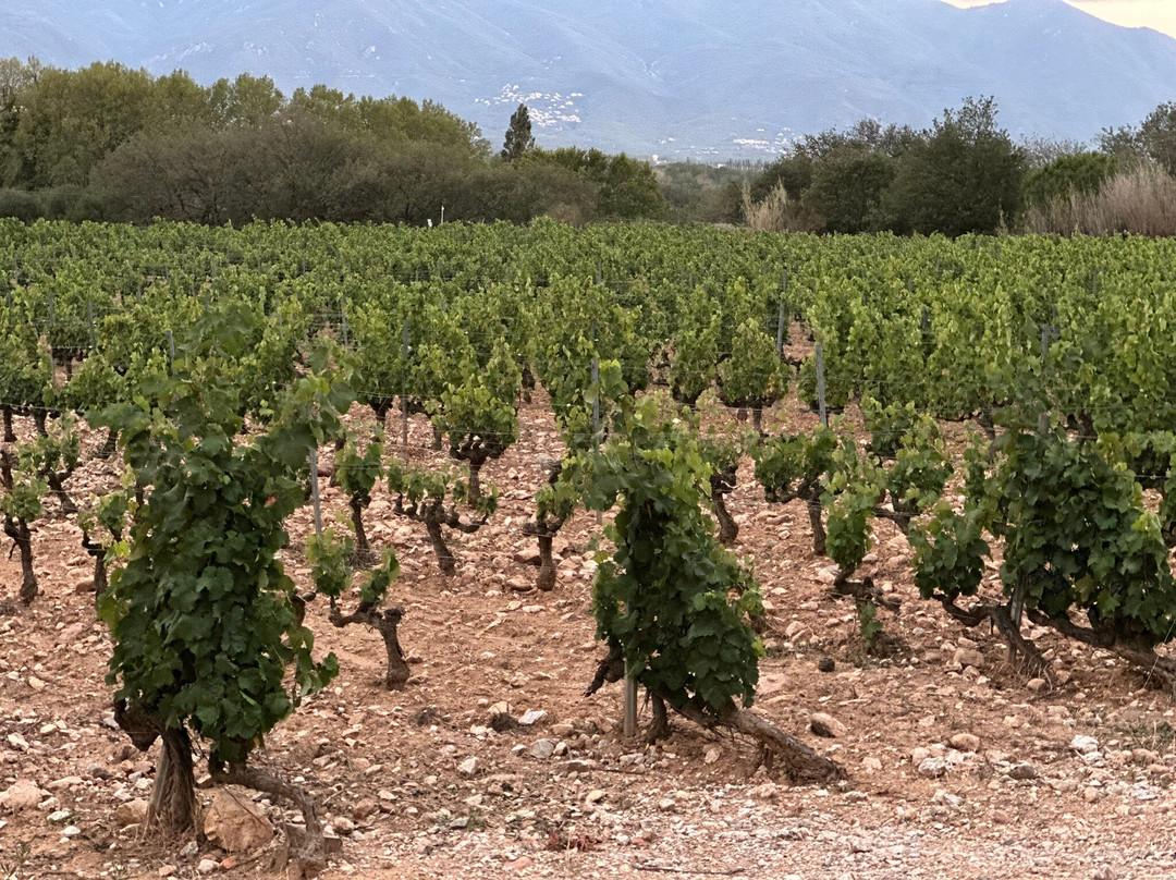 Domaine Sol Payre景点图片