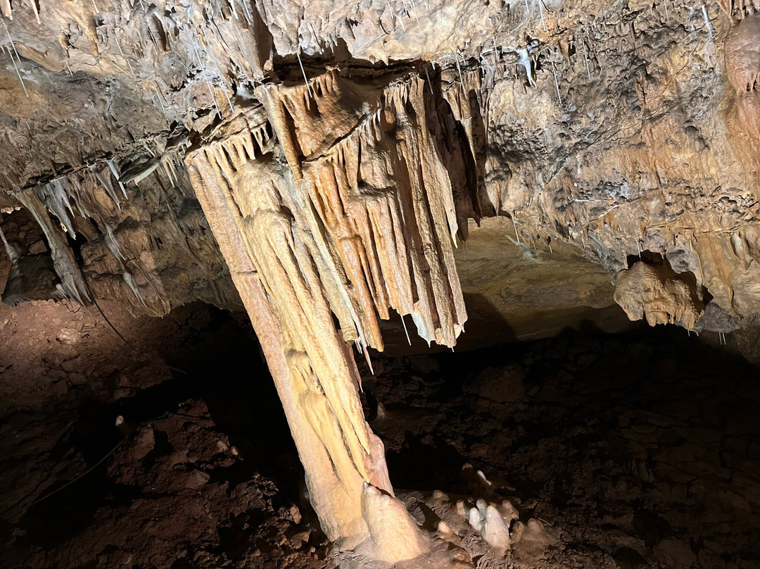 Grotte de Foissac-Foissac必去景点