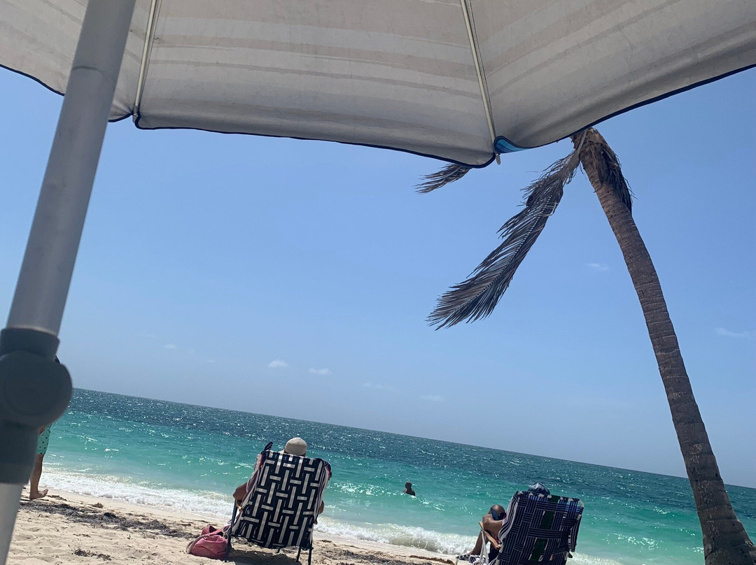 Ocean Reef Yacht Club & Resort主图