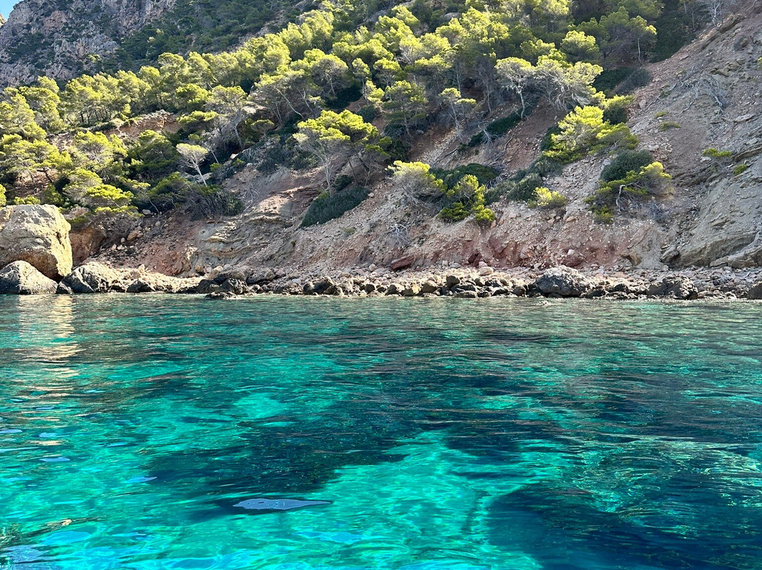 Nautica Sealand - Sin Rumbo Mallorca-Port d'Andratx必去景点