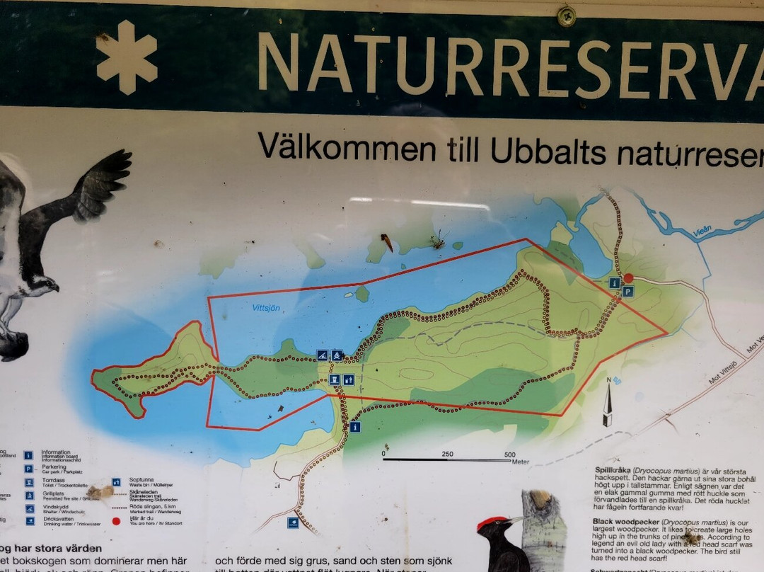 Ubbalt Naturreservat
