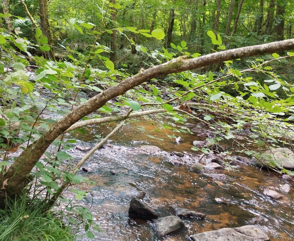 La Roche d'Oetre-Saint-Philbert-sur-Orne必去景点