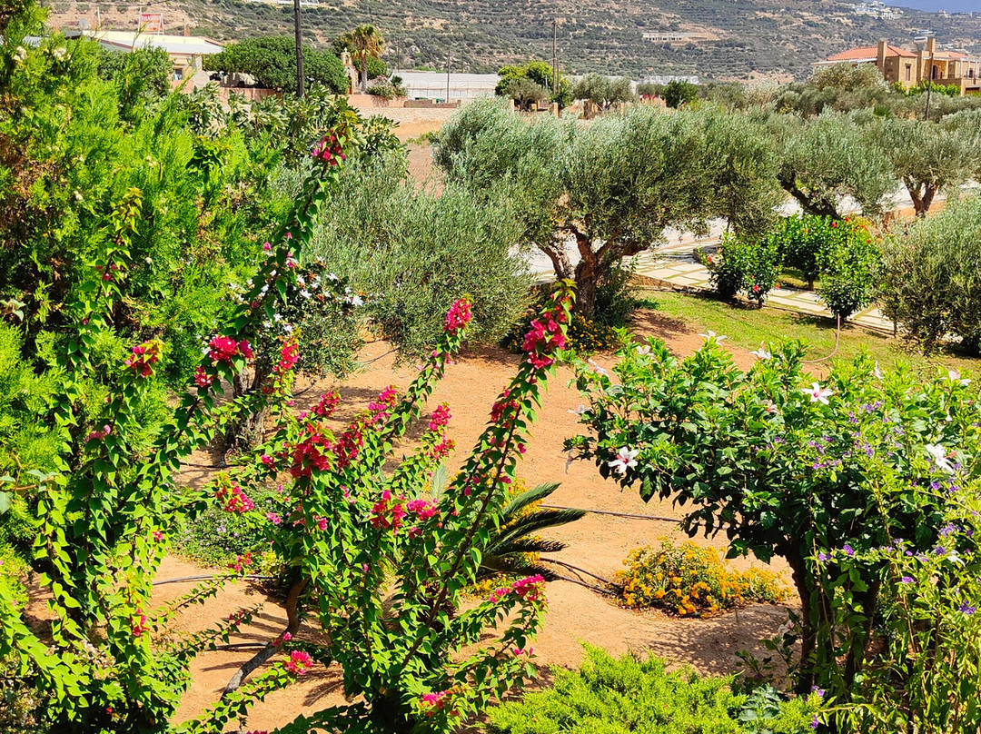 Magnolia Apartments & Studios主图