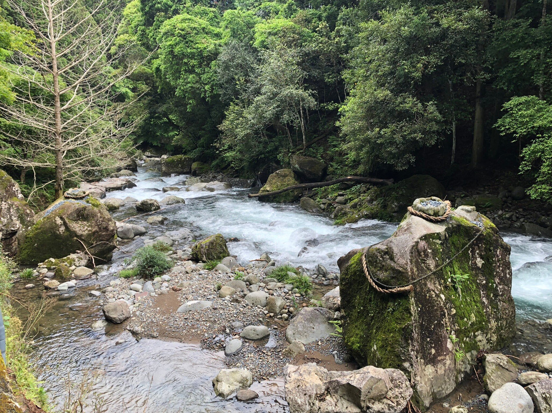 Kanidaru Falls (Kawazu Nanadaru Waterfalls)景点图片