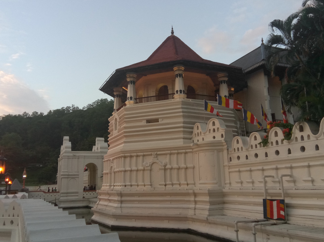 Amaya Lanka Tours景点图片