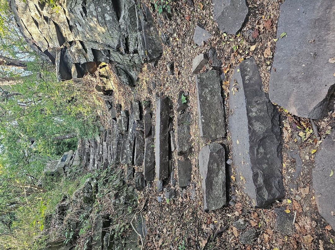 Badacsony Volcano Valley景点图片