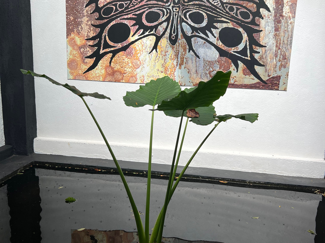 Diyabubula, the Barberyn Art & Jungle Hideaway主图